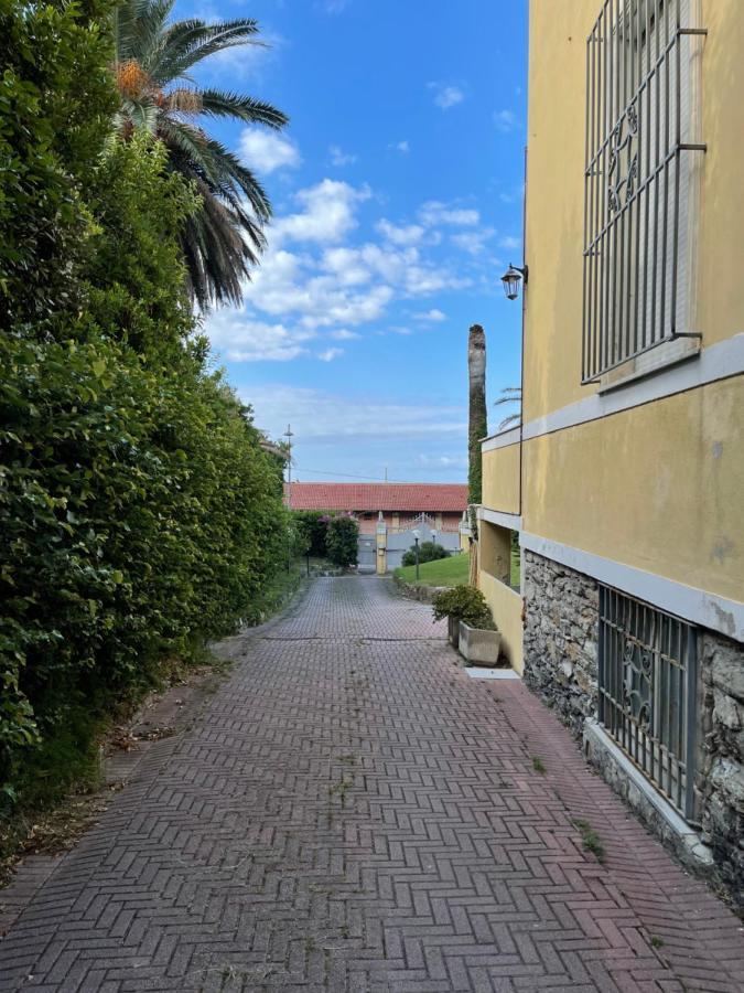 Celeste Apartment Janov Exteriér fotografie